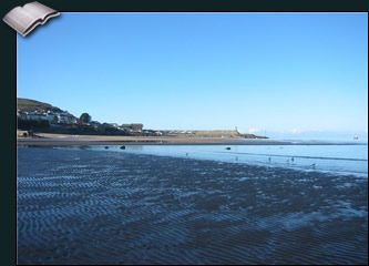 Beach Walk